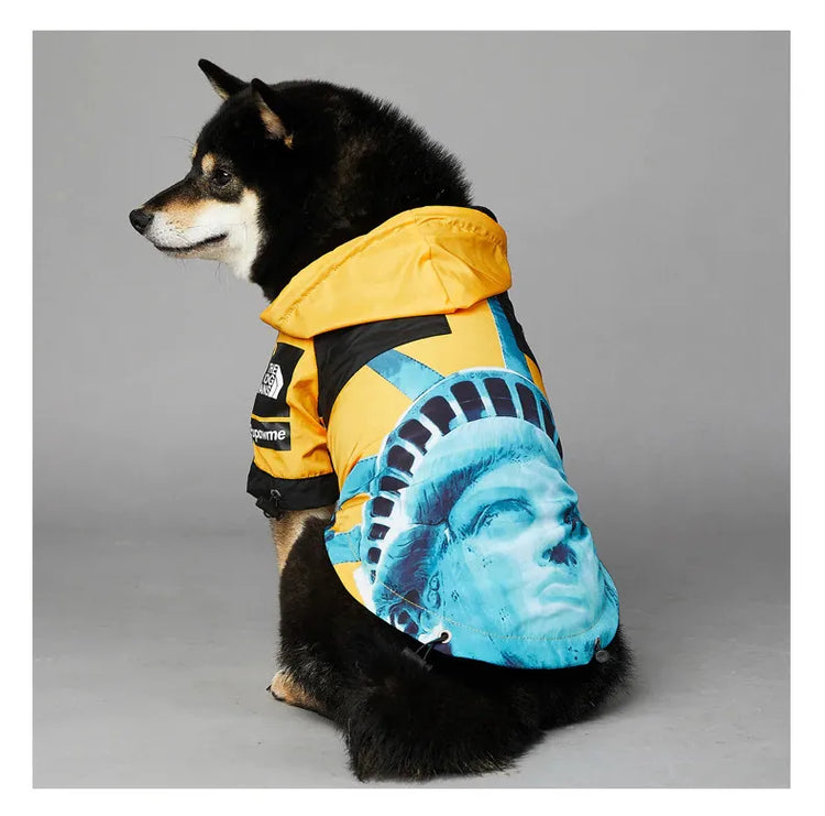 Dog wearing American Apparel Dog Hoodie in yellow with a Statue of Liberty design, back view