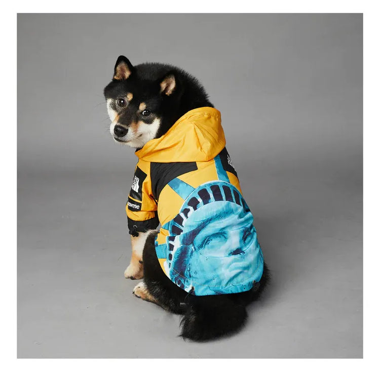 Dog wearing American Apparel Dog Hoodie in yellow with a Statue of Liberty design, side and back view