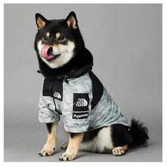 Shiba Inu sitting and wearing a grey dog hoodie in grey and black with 'The Dog Fans' logo, front view.