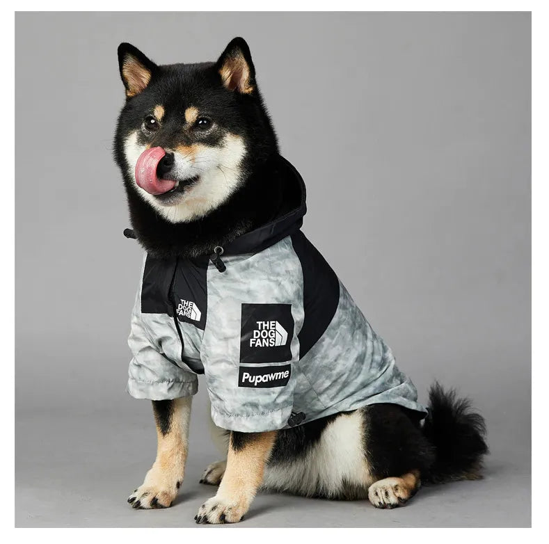 Shiba Inu sitting and wearing a grey dog hoodie in grey and black with 'The Dog Fans' logo, front view.