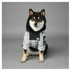 Side view of a Shiba Inu wearing a grey dog hoodie in grey and black with 'The Dog Fans' logo.