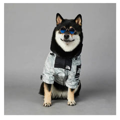 Shiba Inu wearing a grey dog hoodie in grey and black with 'The Dog Fans' logo, looking to the side.