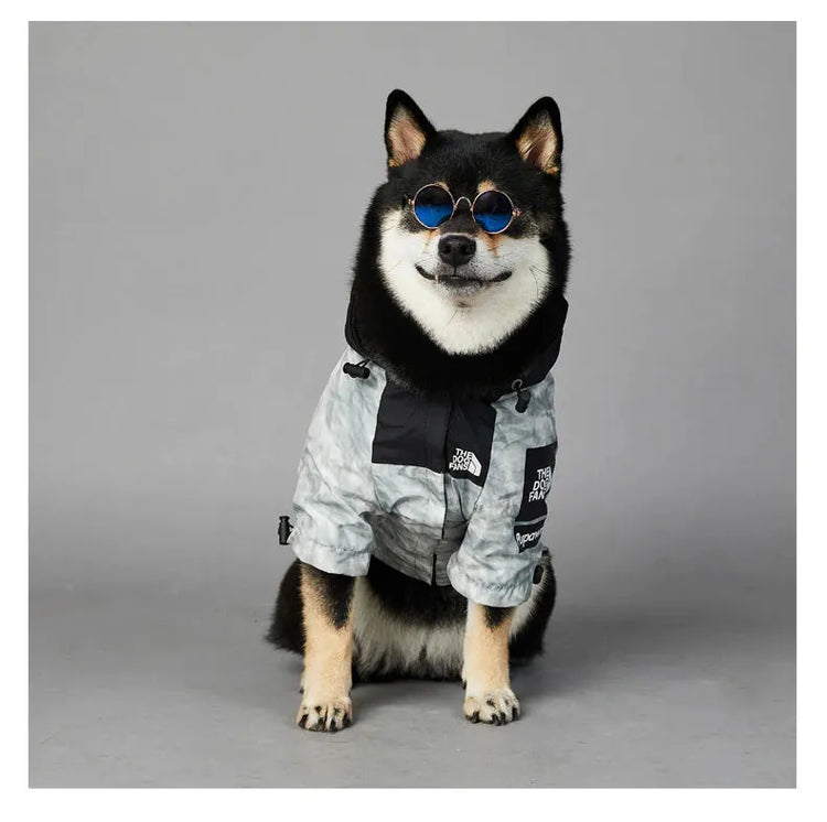 Shiba Inu wearing a grey dog hoodie in grey and black with 'The Dog Fans' logo, looking to the side.