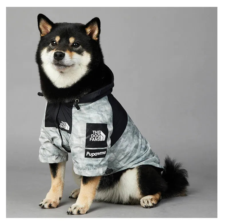 Grey Boy Grey Dog Hoodie Grey S