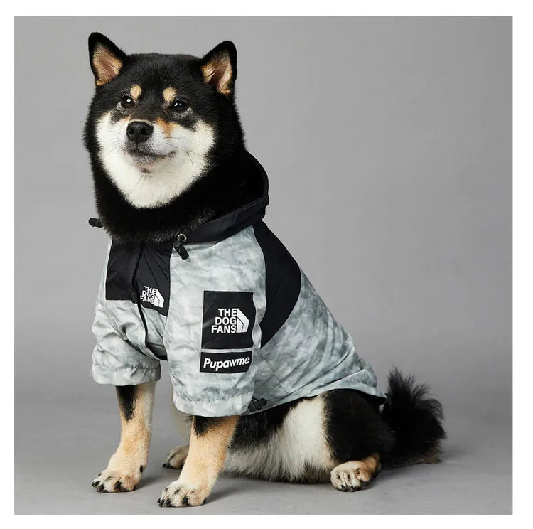 Stylish Shiba Inu wearing a grey dog hoodie in grey and black with 'The Dog Fans' logo, and blue sunglasses.