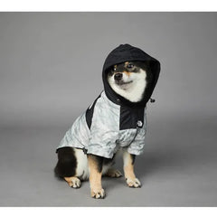Shiba Inu sitting and wearing a grey dog hoodie, looking stylish with 'The Dog Fans' logo.