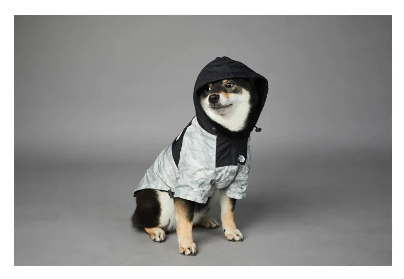 Shiba Inu sitting and wearing a grey dog hoodie, looking stylish with 'The Dog Fans' logo.