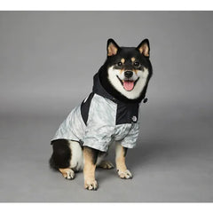 Shiba Inu sitting in a grey dog hoodie, looking directly at the camera, featuring 'The Dog Fans' logo.