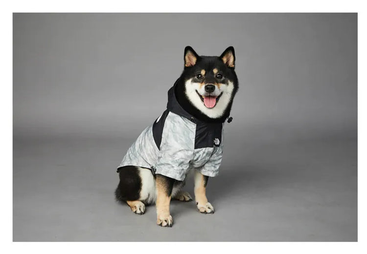 Shiba Inu sitting in a grey dog hoodie, looking directly at the camera, featuring 'The Dog Fans' logo.