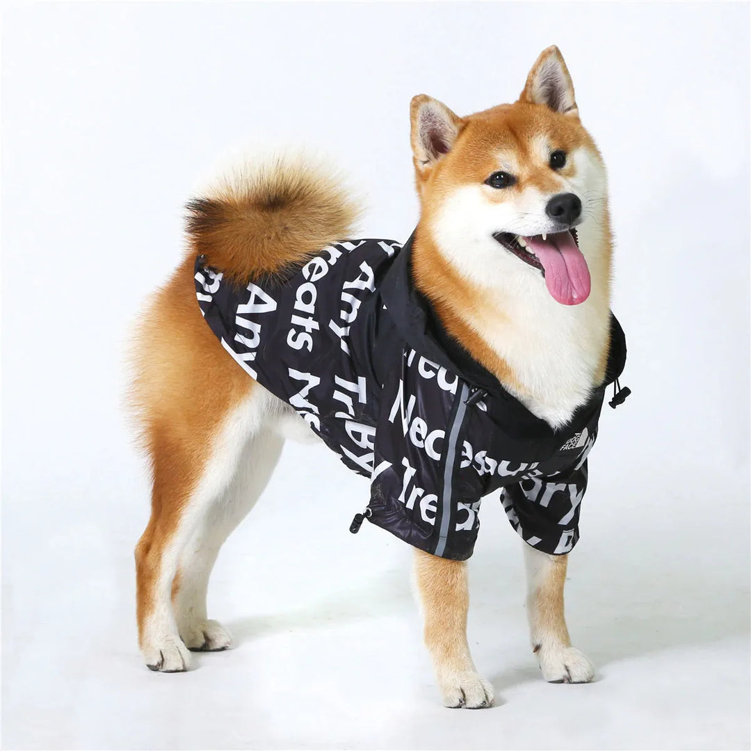 Shiba Inu standing and wearing a black "The Dog Face" hoodie, highlighting stylish hoodies for dogs.