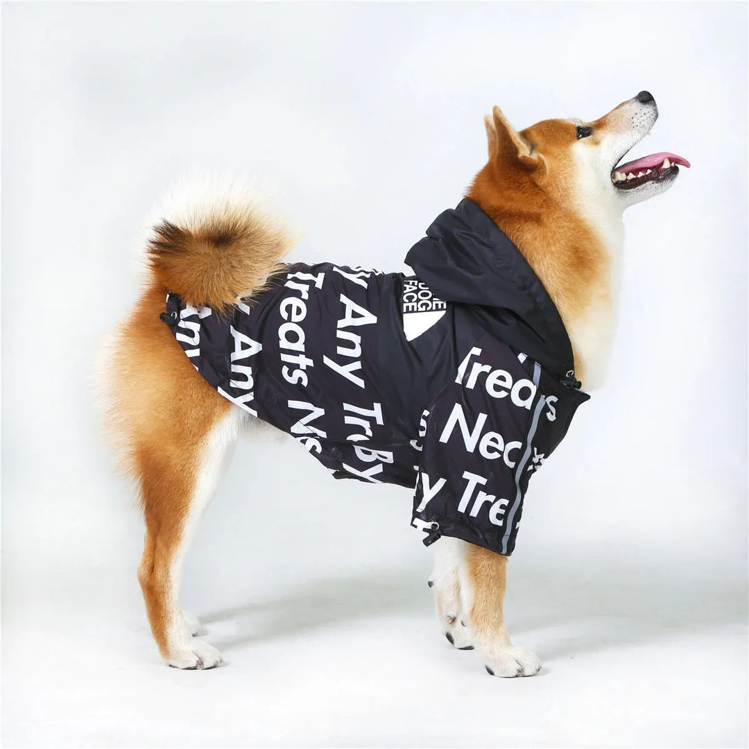 Shiba Inu standing in a black "The Dog Face" hoodie, highlighting comfortable hoodies for dogs.