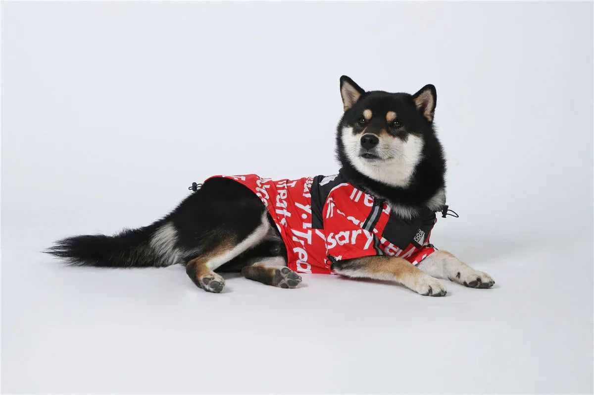 Shiba Inu dog lying down in a comfortable red alphabet print hoodie from "The Dog Face," highlighting hoodies for dogs.