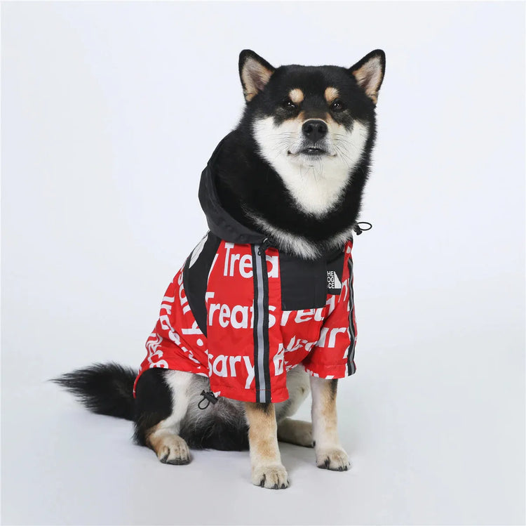 Shiba Inu dog sitting and modeling a black and red hoodie with "Treats Necessary" print, trendy hoodies for dogs by "The Dog Face."