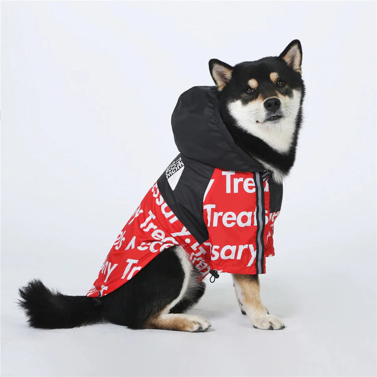 Shiba Inu dog sitting in a red hoodie with alphabet design, fashionable hoodies for dogs by "The Dog Face."