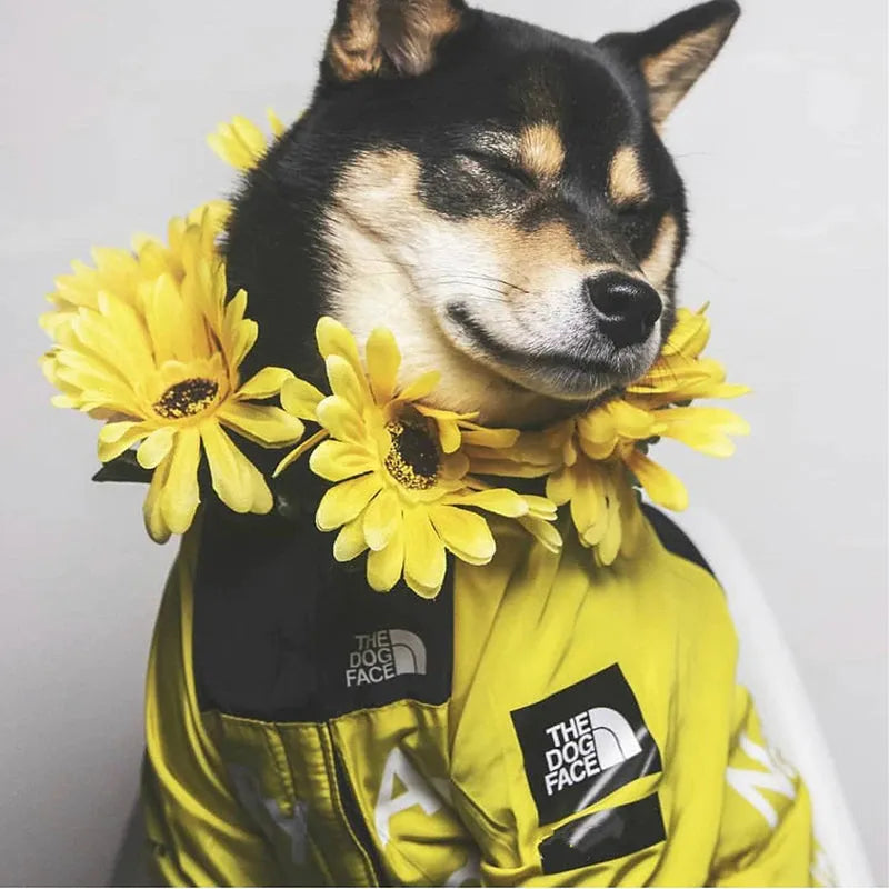 Shiba Inu dog in a yellow alphabet print hoodie with sunflower decorations, vibrant hoodies for dogs by "The Dog Face."