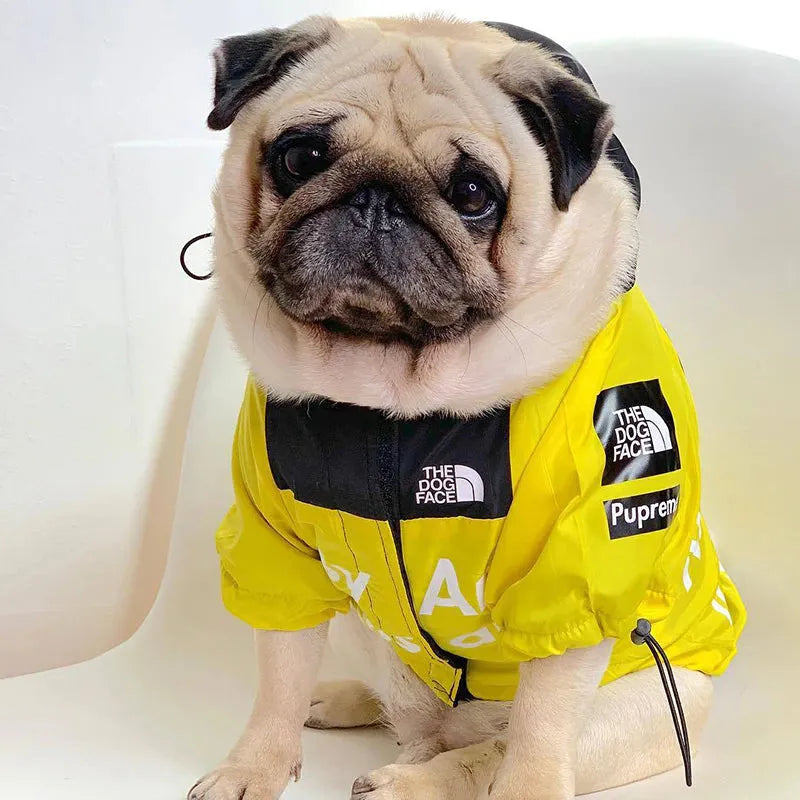 Pug dog sitting in a yellow "The Dog Face" hoodie, showcasing trendy hoodies for dogs.