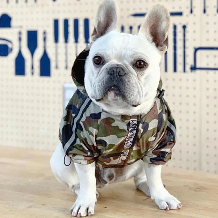 French Bulldog wearing a camouflage dog hoodie for large dogs, sitting on a table in a workshop setting.