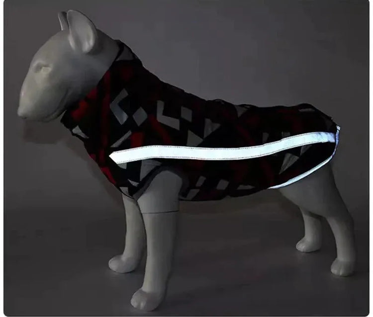 Dog wearing a red reflective waterproof dog jacket with camouflage patterns, standing on a path.