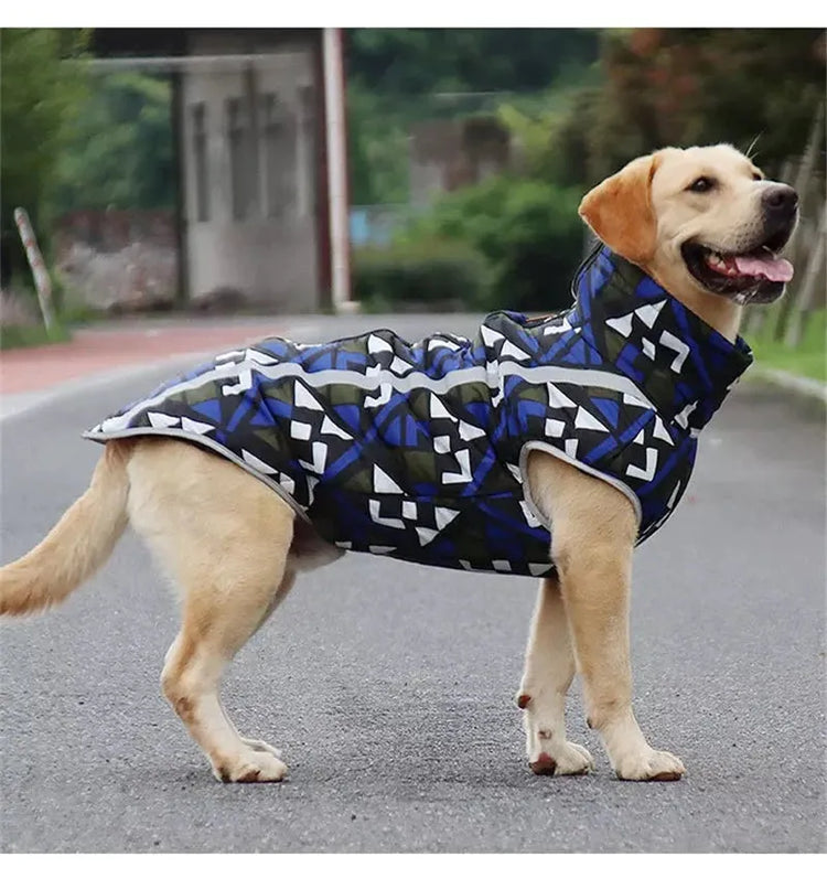 Four dogs wearing reflective waterproof dog jackets in different colors and patterns, standing on grass.