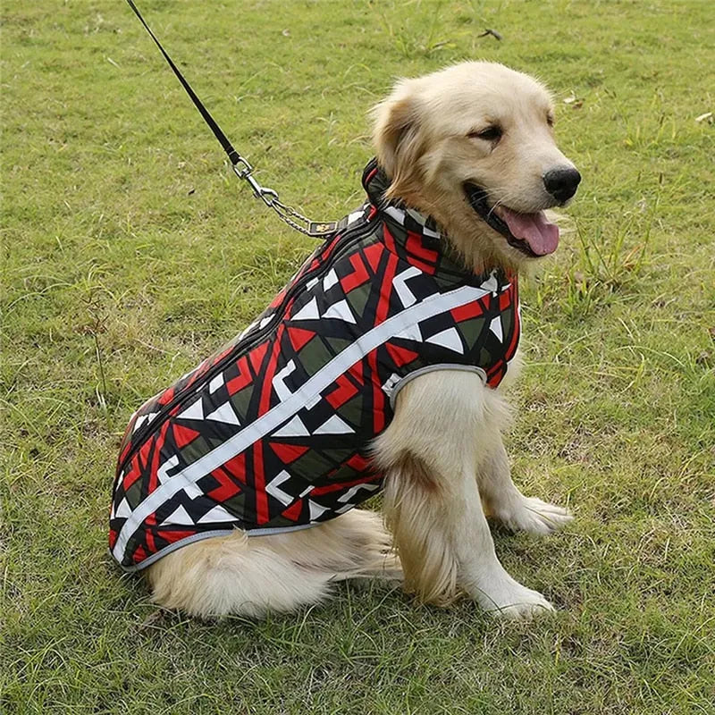 Dog model wearing a reflective waterproof dog jacket with the reflective strip highlighted in a dark