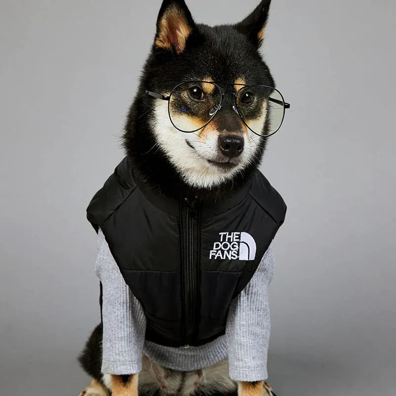 A large dog wearing a black and grey coat with "The Dog Fans" logo, sitting and facing forward.