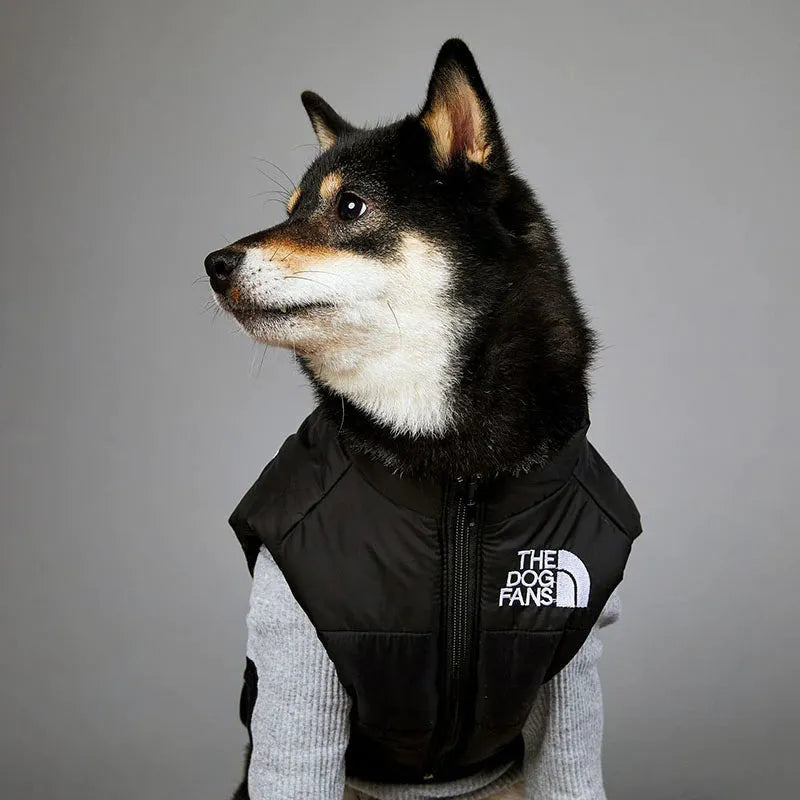 A large dog wearing a black and grey coat with "The Dog Fans" logo, standing and facing the side.