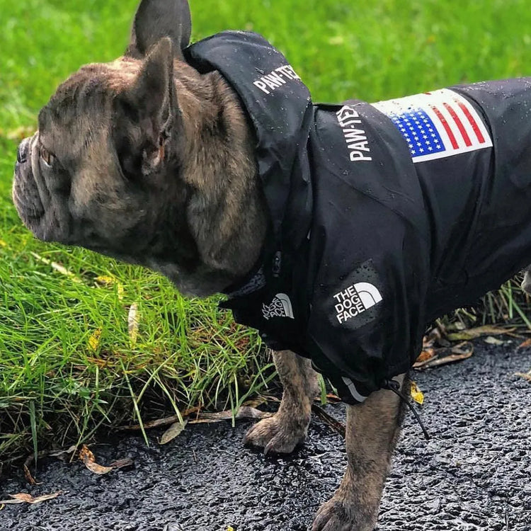 French Bulldog wearing a black large dog hoodie with 'The Dog Face' logo and American flag, standing on wet grass.