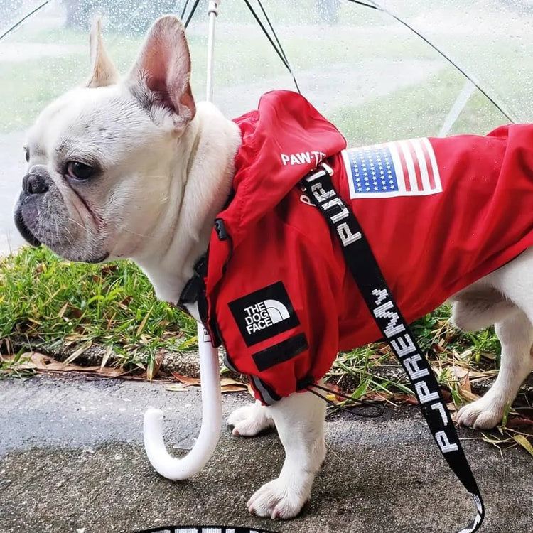 French Bulldog wearing a red large dog hoodie with 'The Dog Face' logo and American flag, standing under an umbrella.