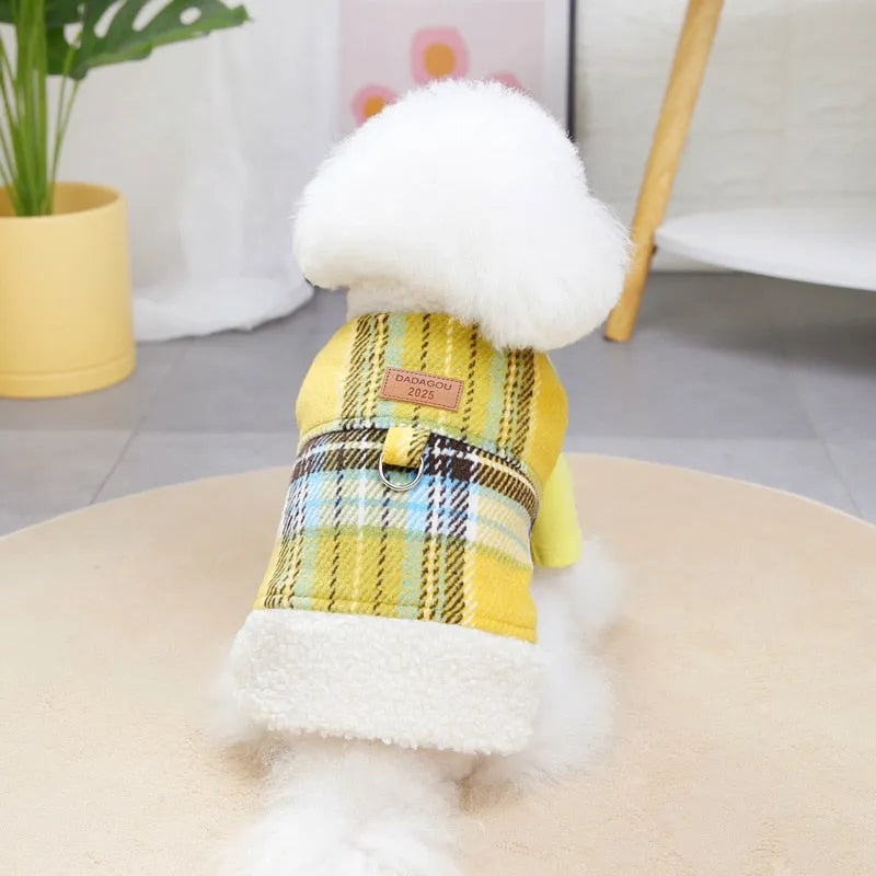 White fluffy dog wearing a yellow and blue plaid dog coat with a soft fleece lining