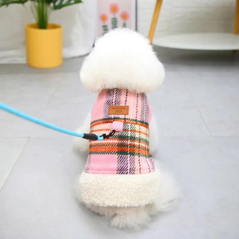 White fluffy dog wearing a pink plaid dog coat with a leash attached