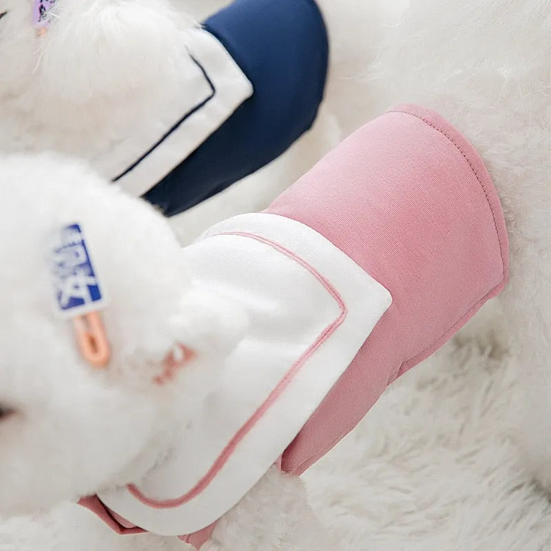 Close-up of dogs wearing pink and navy blue dog coats with white collars