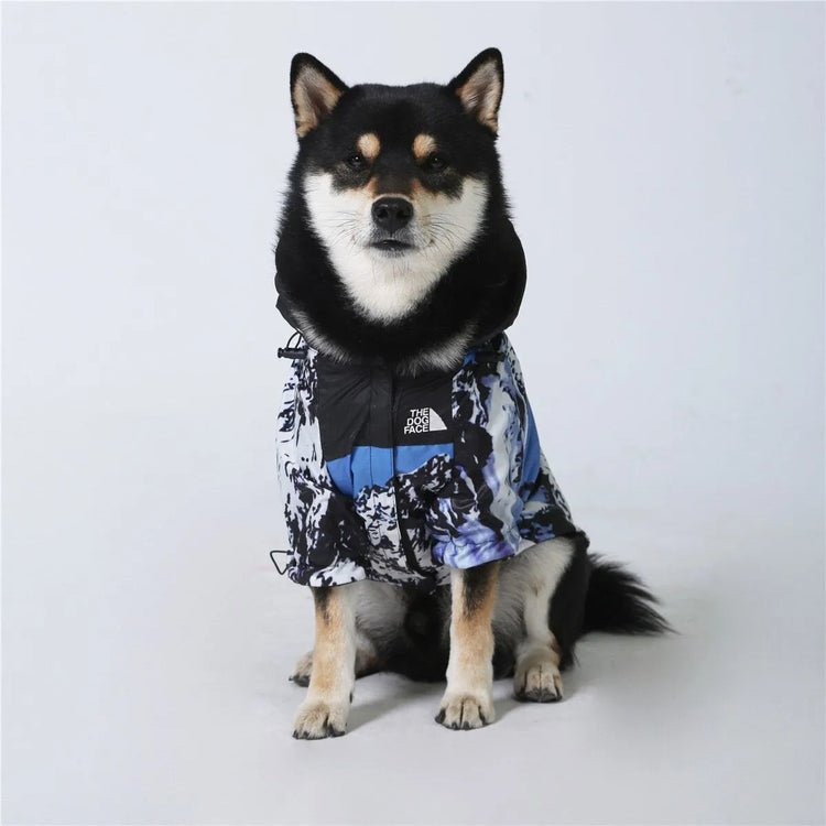 "Mountain-themed blue dog hoodie by The Dog Face, back view showing hood and design.