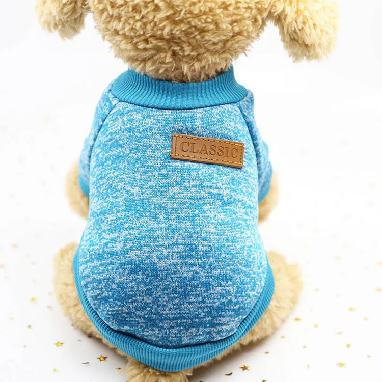 Dog wearing a light blue turtleneck sweater with a classic leather patch on the back.