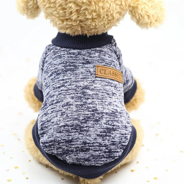 Dog wearing a grey purplish turtleneck sweater with a classic leather patch on the back.