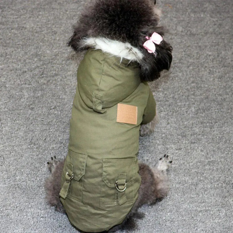 A gray poodle wearing a green dog hoodie with faux fur trim, keyword: Dog Hoodies For Small Dogs.