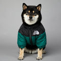 Black dog wearing a green and black puffer jacket from 'The Dog Fans,' ideal as a Puffer Jacket For Dogs."