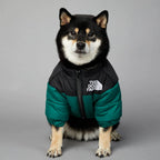 Black dog wearing a green and black puffer jacket from 'The Dog Fans,' ideal as a Puffer Jacket For Dogs."