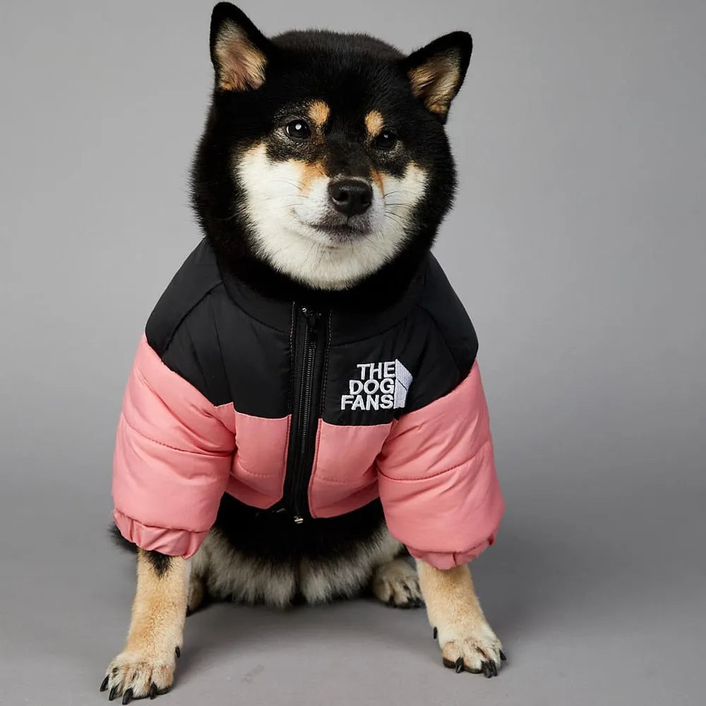 Puppy puffer jacket hotsell