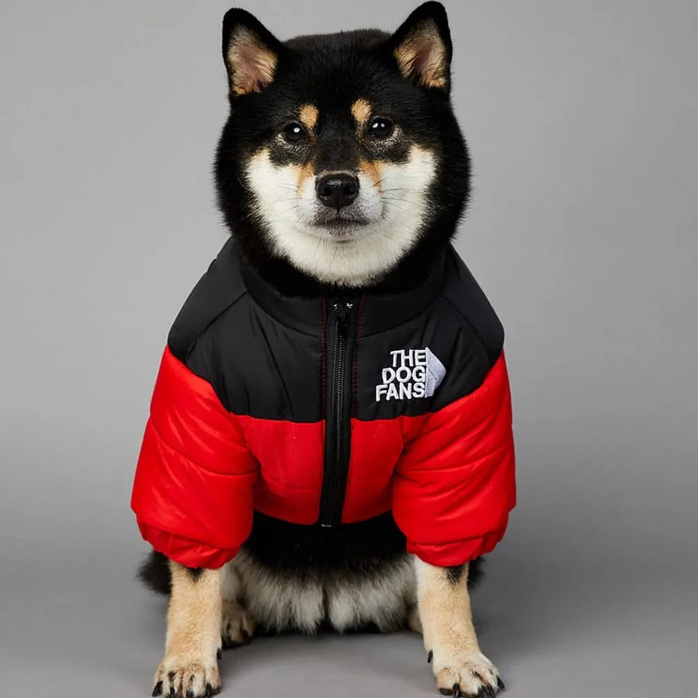 Black dog wearing a red and black puffer jacket from 'The Dog Fans,' warm Puffer Jacket For Dogs."