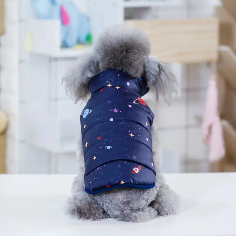 Puffer coat for dogs in my galaxy dark blue worn by a dog back view.