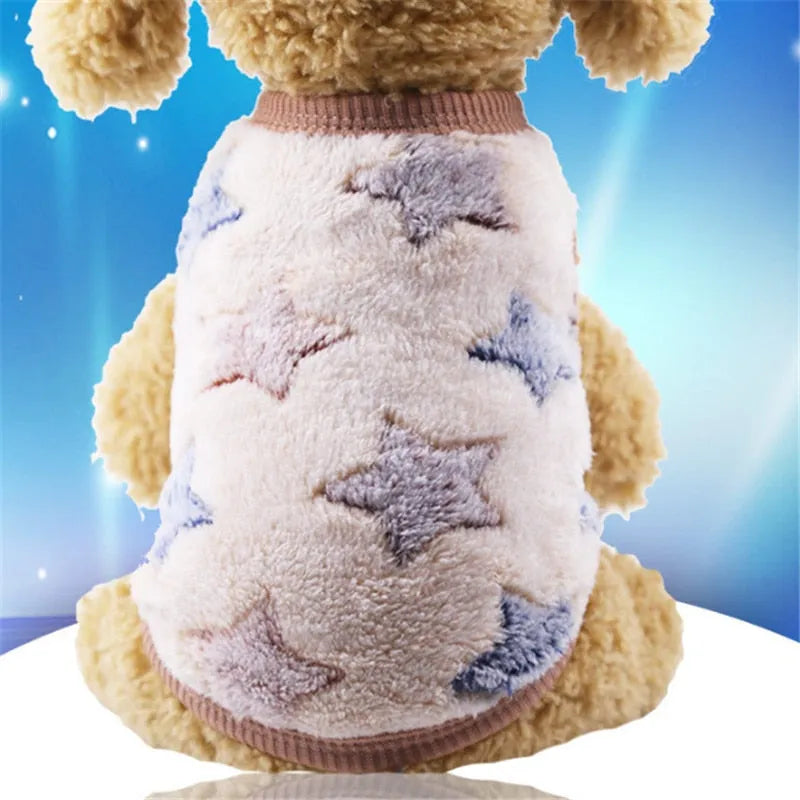 A light beige dog sweater with pastel stars, perfect for a warm and stylish look for very small dogs.