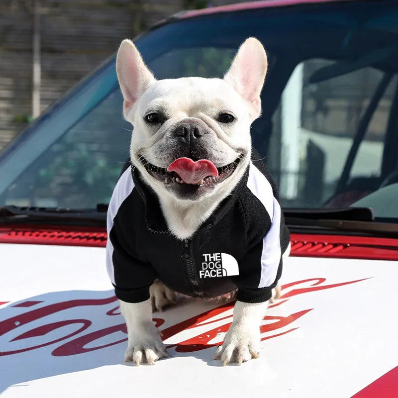 Dog Coats That Zip Up The Back The Dog Face