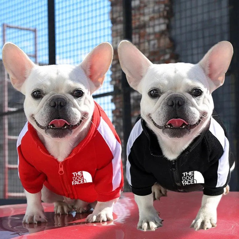 French bulldog puppy coats best sale